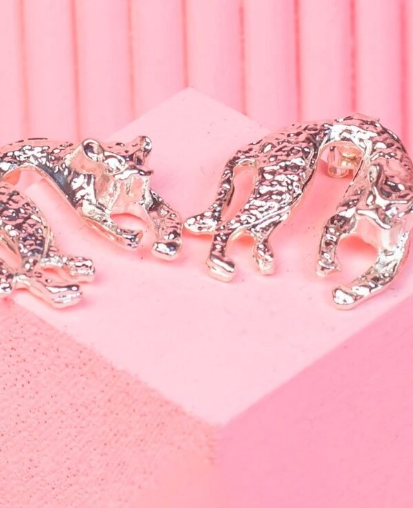 Aretes Safari Silver - Imagen 1